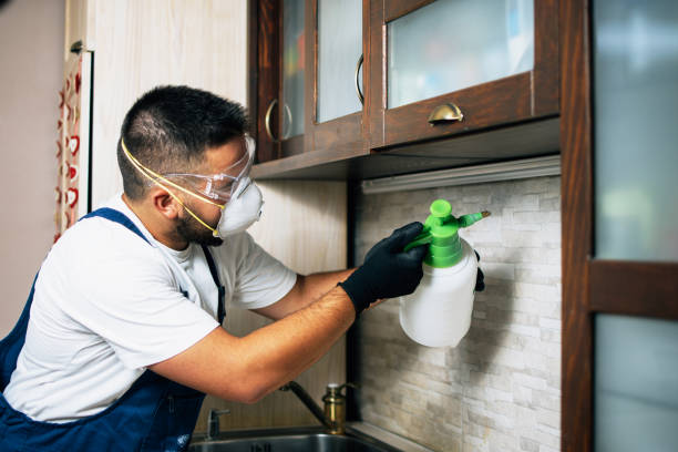 Professional Pest Control in Corsicana, TX