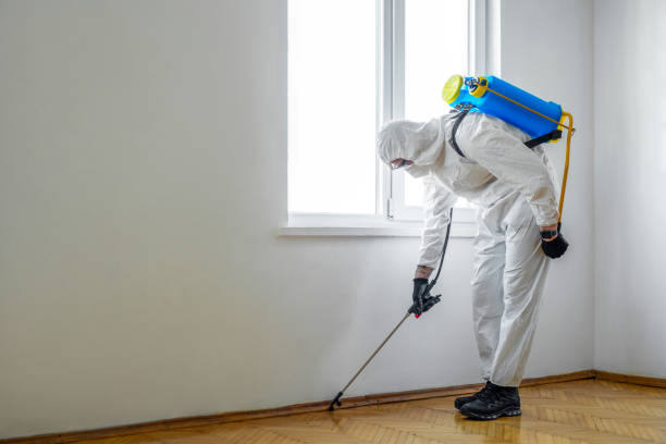 Best Best Pest Control Companies  in Corsicana, TX