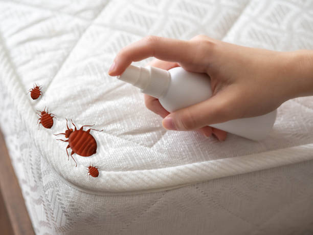 Best Exterminator Services  in Corsicana, TX