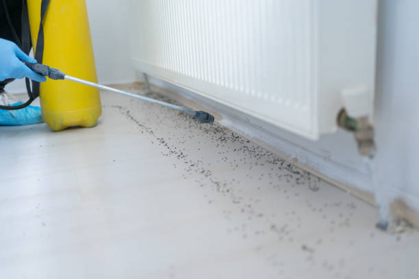 Flea Control Services in Corsicana, TX
