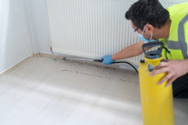 Best Insect Control  in Corsicana, TX